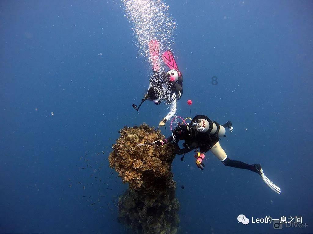 B站获68项海内外殊荣